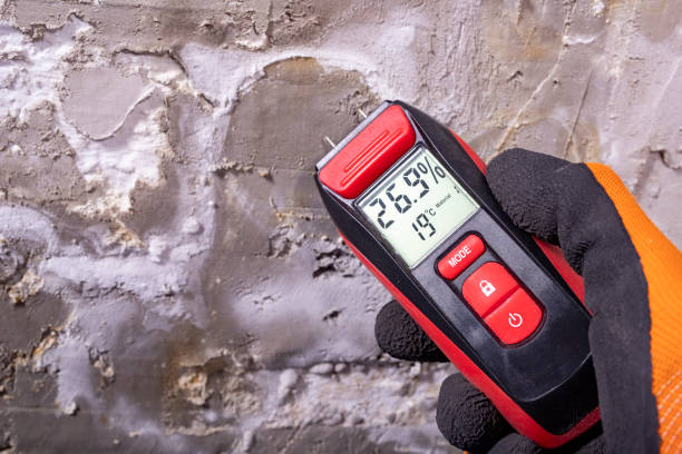 Office Mold Removal Services in Claypool, AZ